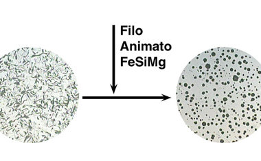 filoanimatoFeSiMg-380x234 filoanimatoFeSiMg-380x234